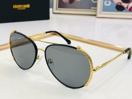 Picture of Roberto Cavalli Sunglasses _SKUfw49436722fw